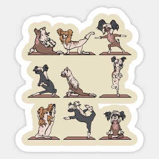 Chinese Crested Yoga Sticker